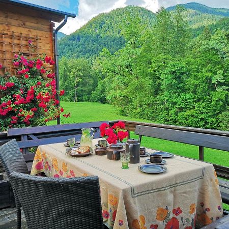 Holiday House Red Deer เปรดวอร์ ภายนอก รูปภาพ