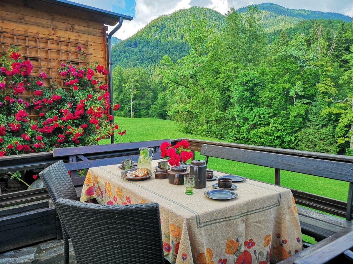 Holiday House Red Deer เปรดวอร์ ภายนอก รูปภาพ