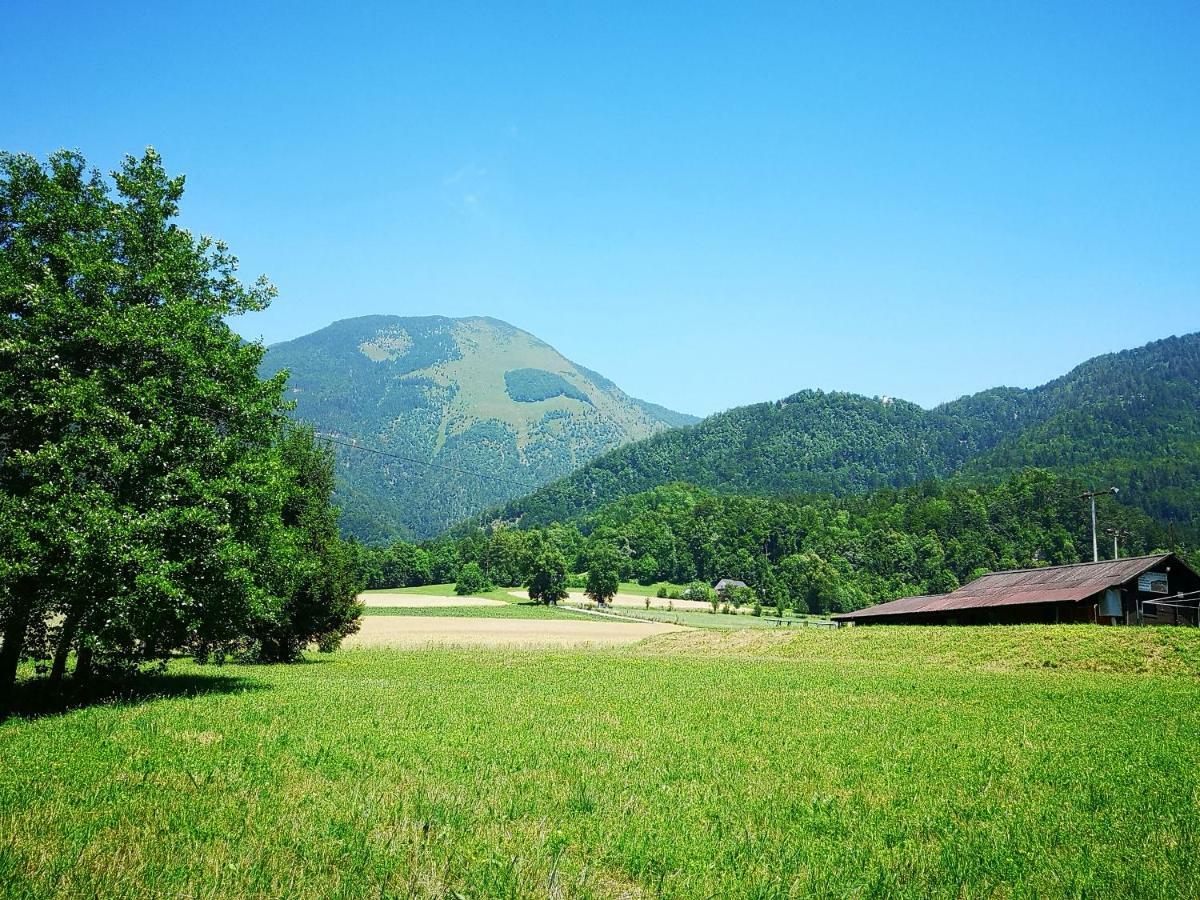 Holiday House Red Deer เปรดวอร์ ภายนอก รูปภาพ