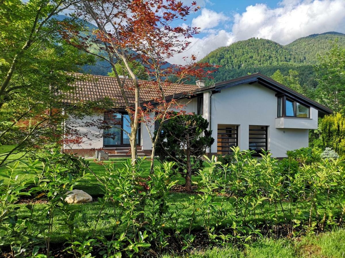 Holiday House Red Deer เปรดวอร์ ภายนอก รูปภาพ